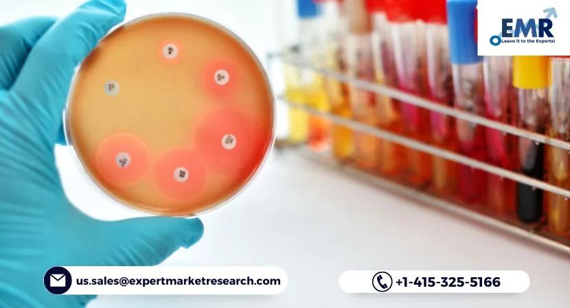 Antimicrobial Additives Market