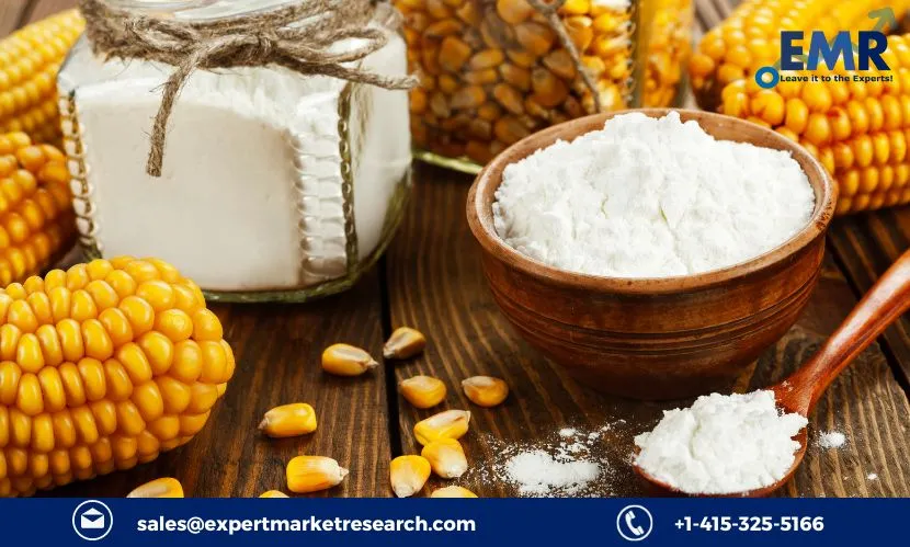 Corn Starch Market