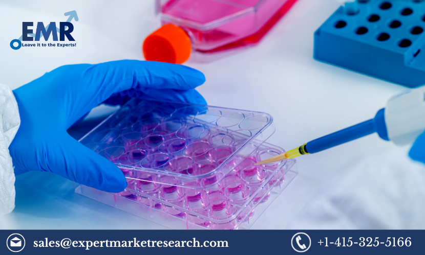 In Vitro Toxicology Testing Market