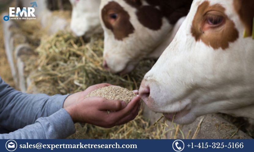 Animal Feed Micronutrients Market