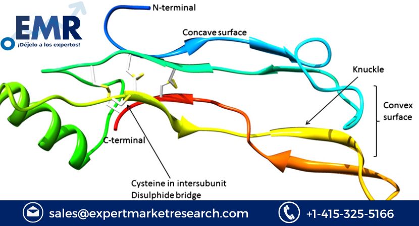 Bone Morphogenetic Proteins Market