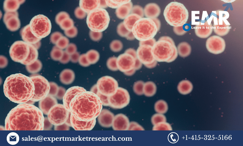 HPV Associated Disorders Market