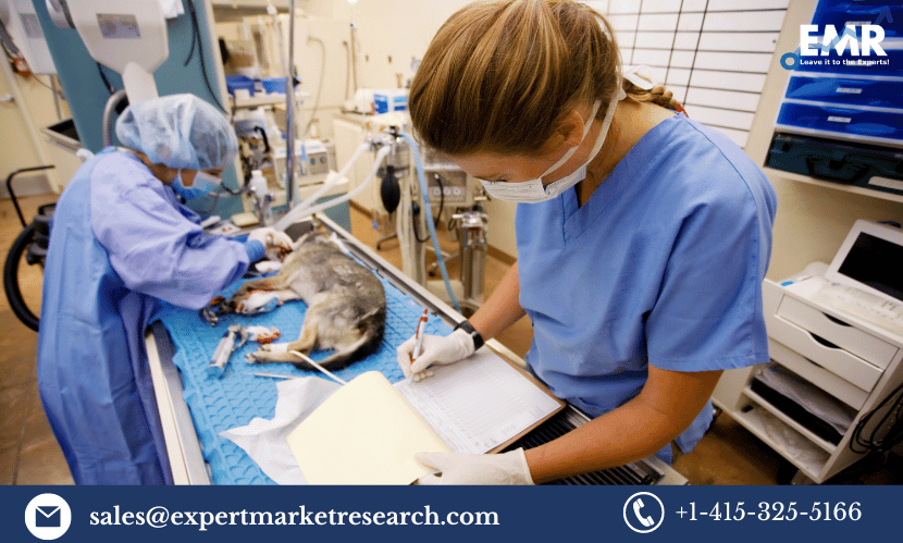 Chile Veterinary Drugs Market