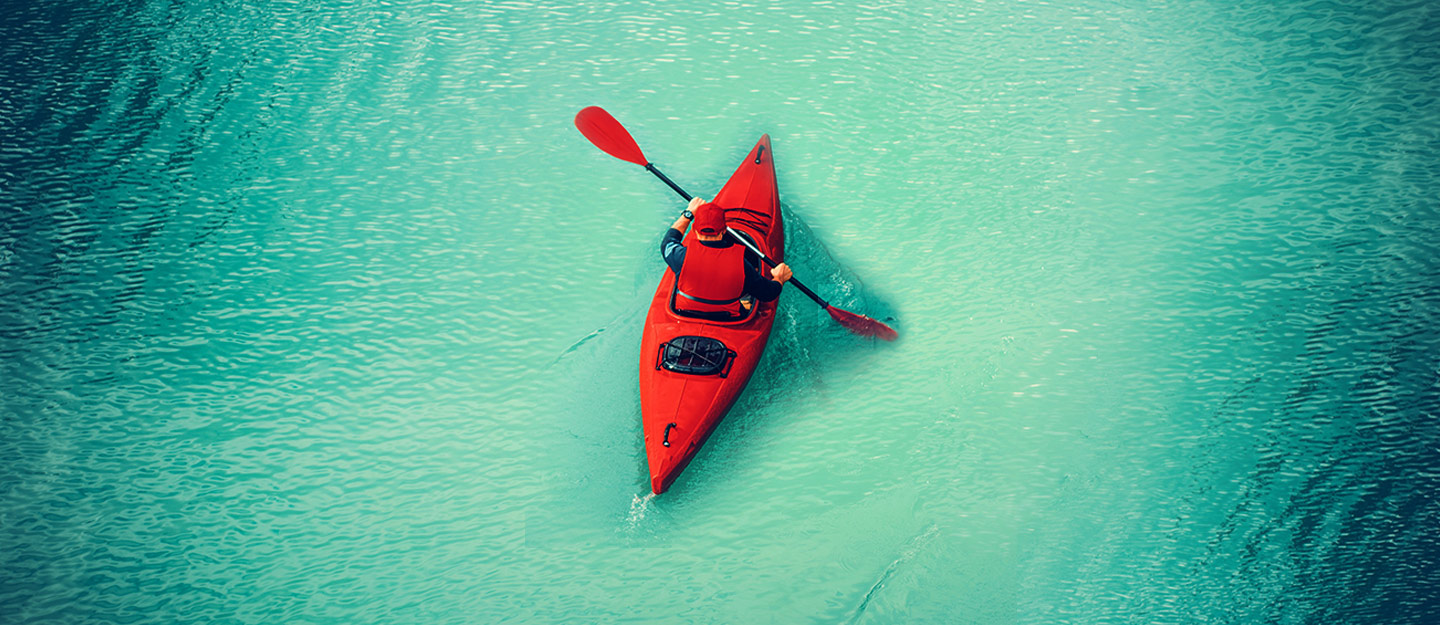 Mangrove Kayaking