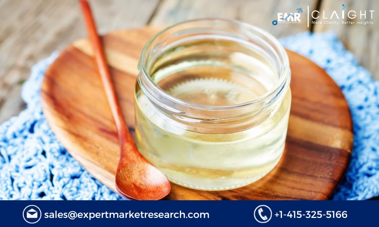 Invert Sugar Syrups Market