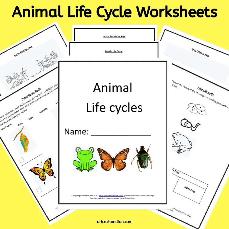 Animals Sound Worksheets