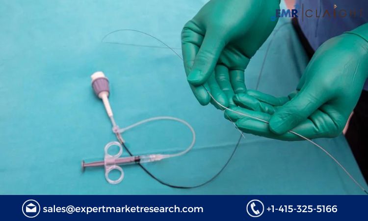 Guidewires Market