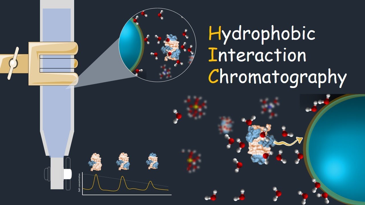 Hydrophobic Interaction Chromatography Market