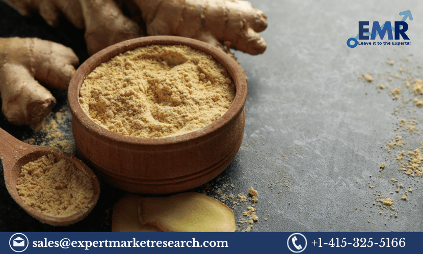 Spray Dried Vegetable Powder Market