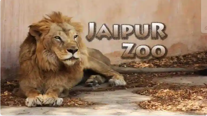 Jaipur Zoo