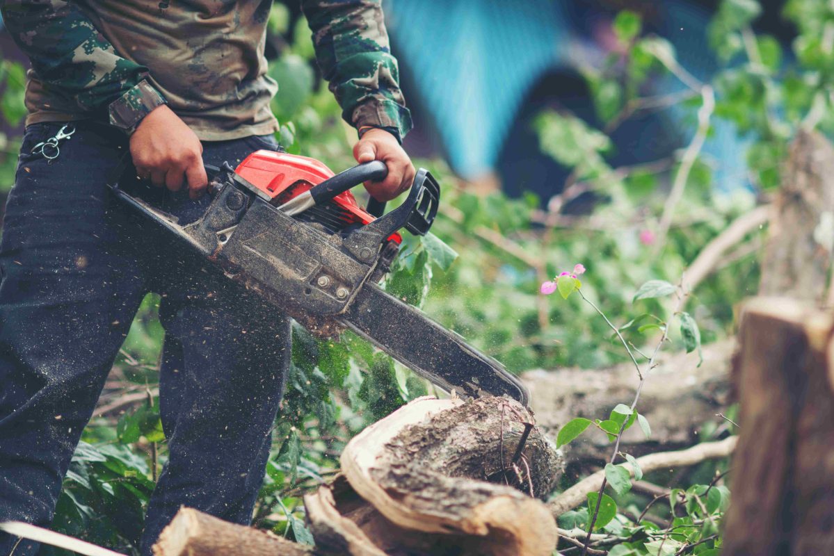 tree removal