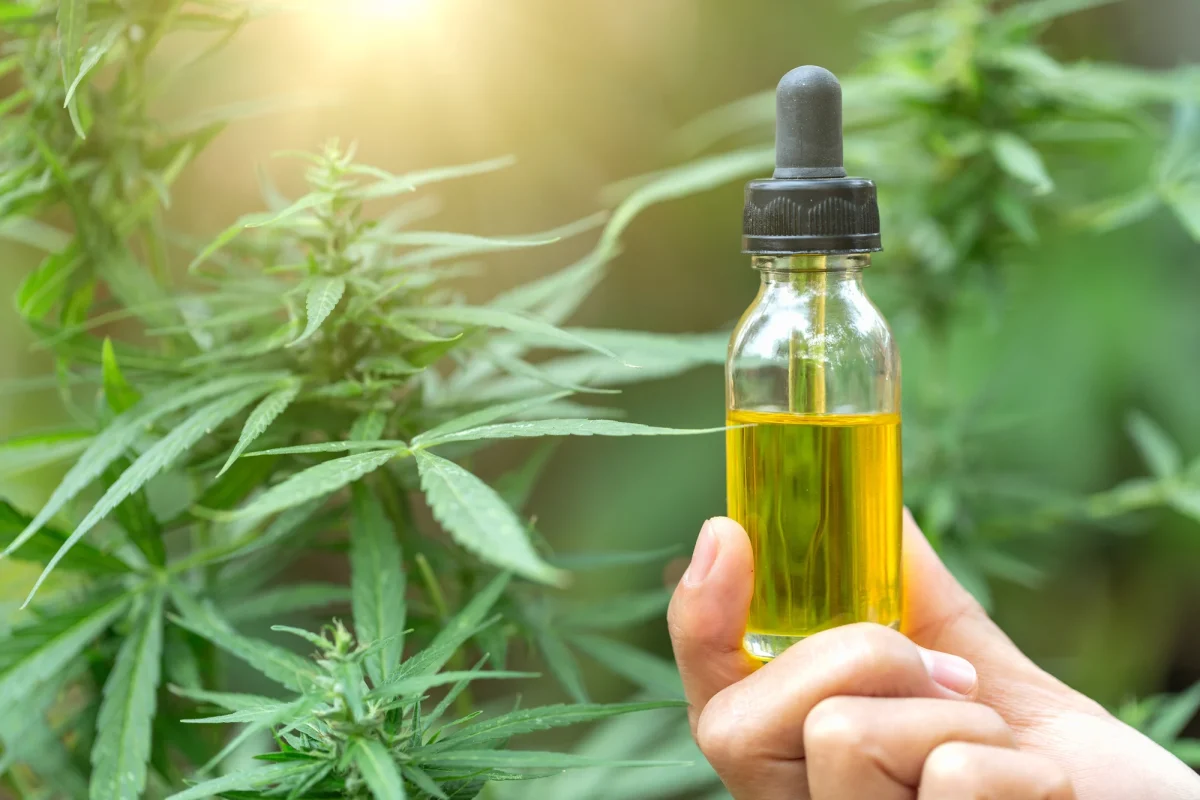 Beyond Pain Relief: The Many Uses of CBD Oil