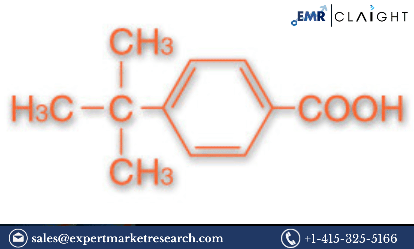 PTBBA (P-Tert-Butyl benzoic Acid) Market