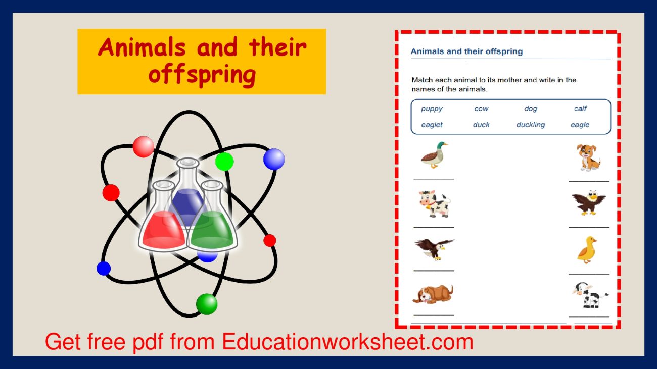 A Comprehensive Exploration of Grazing Animals Worksheets