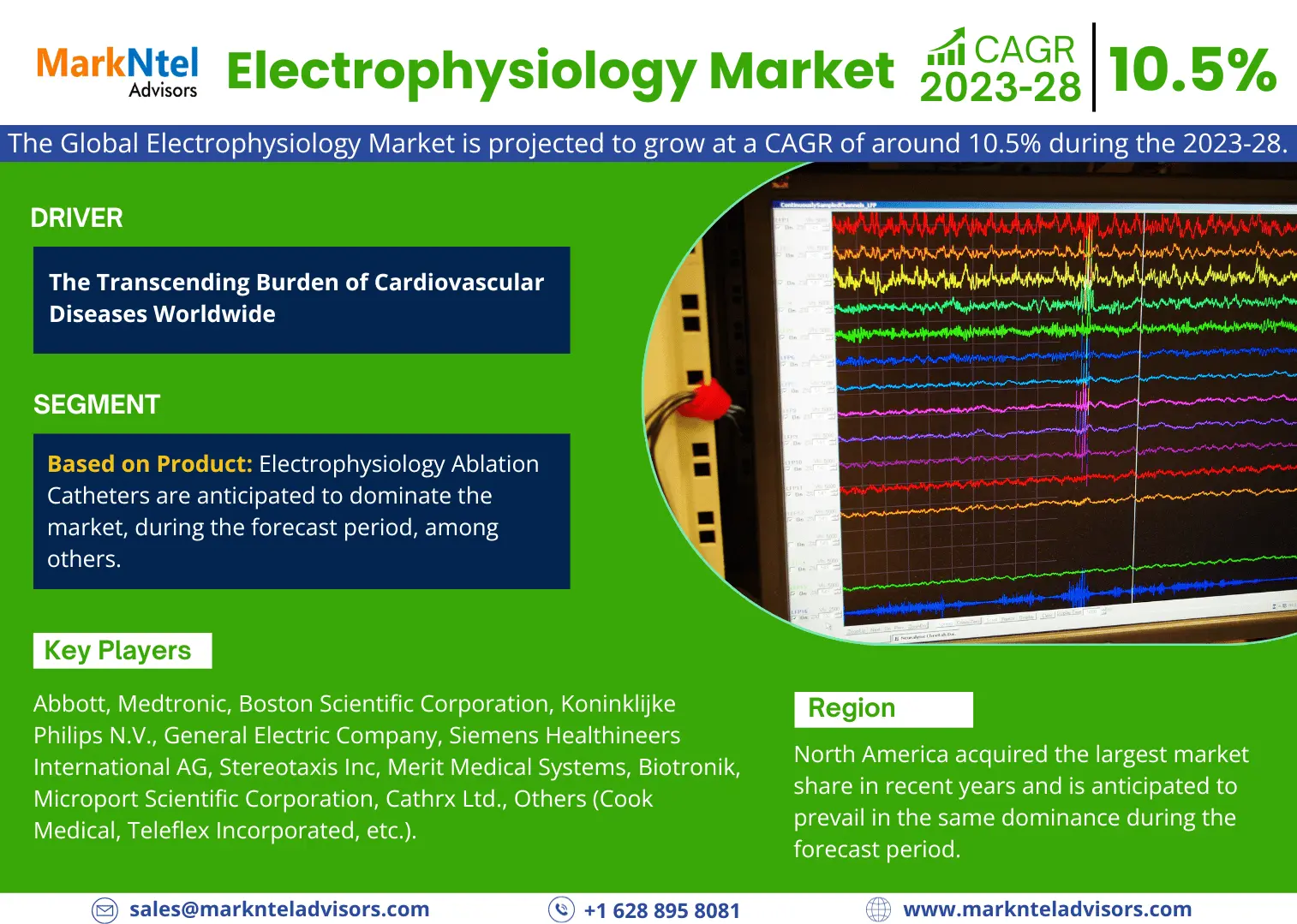 Electrophysiology Market