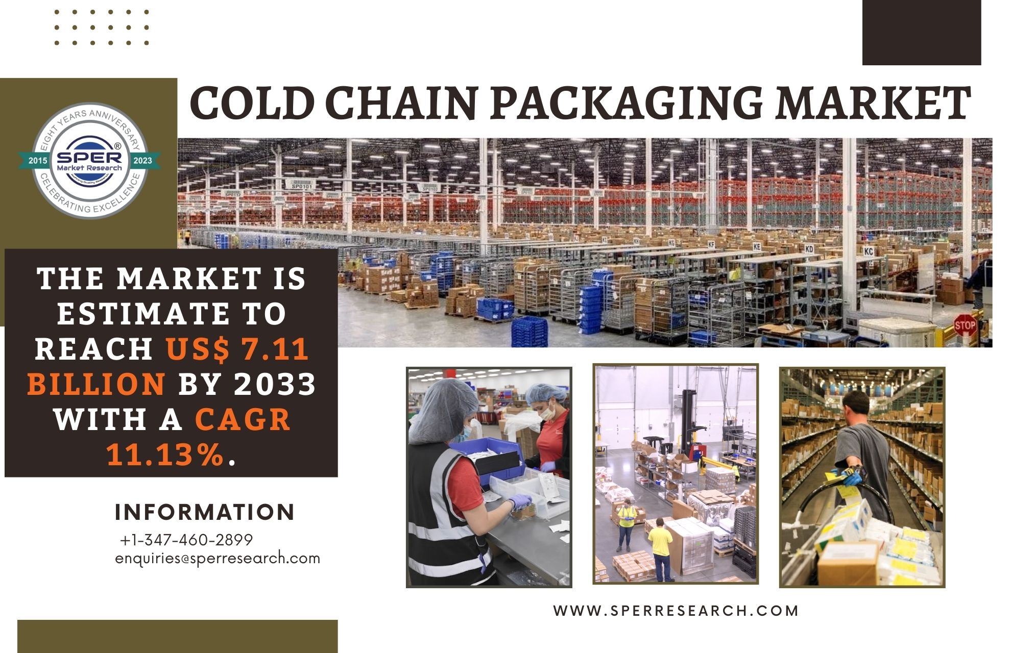 Cold Chain Packaging Market