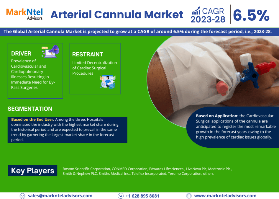 Global Arterial Cannula Market