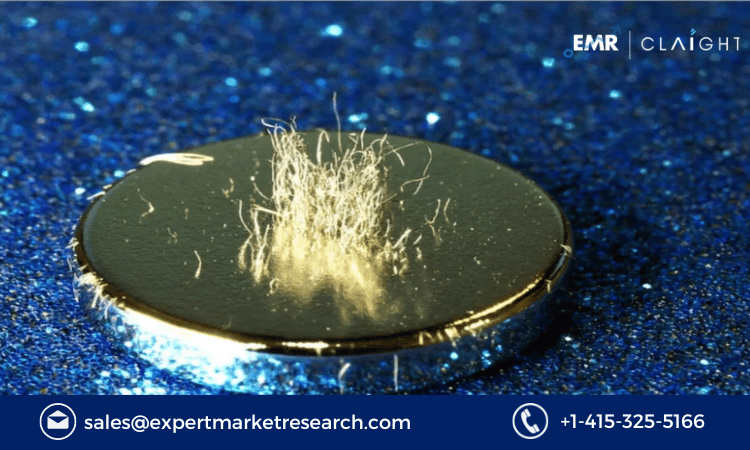 Rare Earth Magnet Market Report