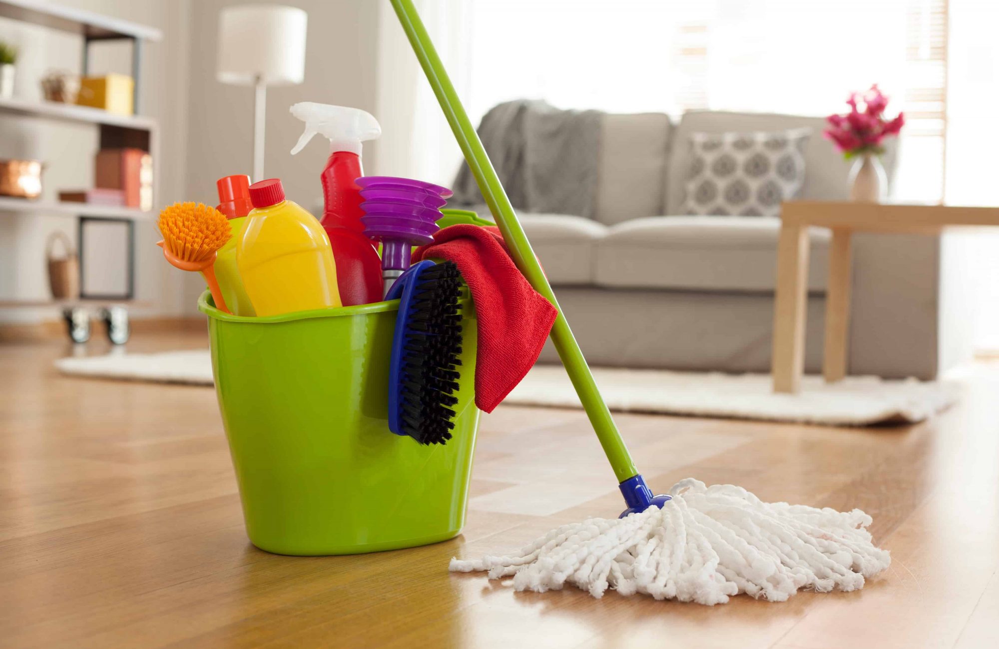 Carpet Cleaning Coral Springs