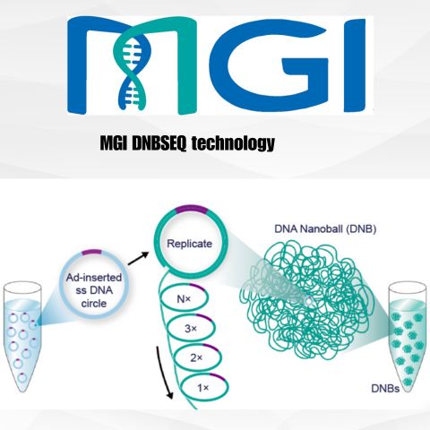 MGI DNBSEQ technology