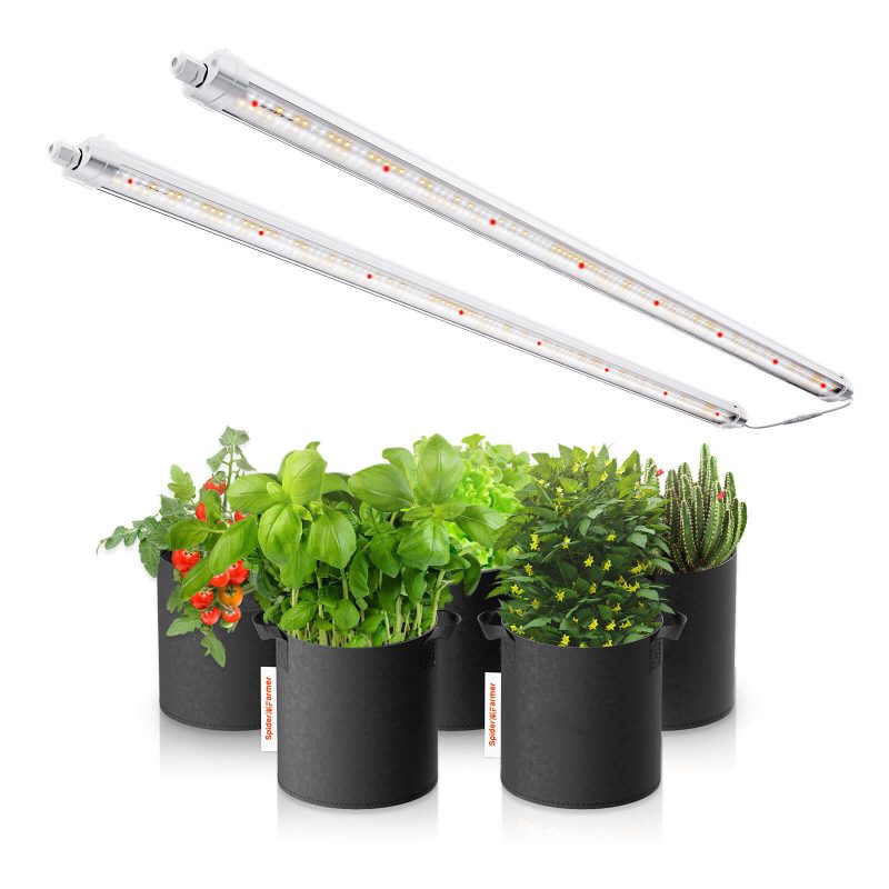 LED grow lights from China